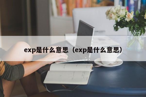 exp是什么意思（exp是什么意思）