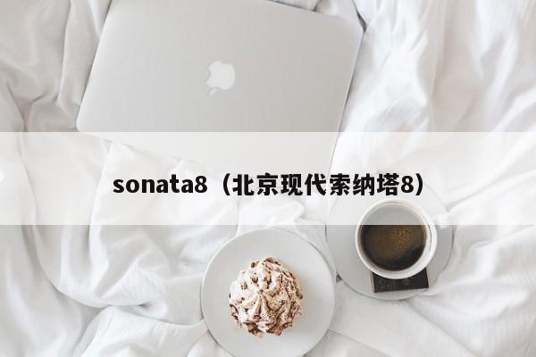 sonata8（北京现代索纳塔8）