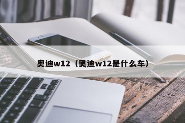 奥迪w12（奥迪w12是什么车）