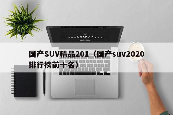 国产SUV精品201（国产suv2020排行榜前十名）