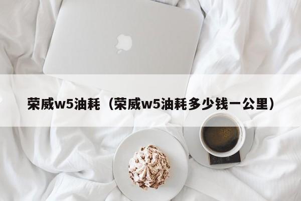 荣威w5油耗（荣威w5油耗多少钱一公里）