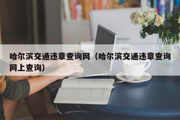 哈尔滨交通违章查询网（哈尔滨交通违章查询网上查询）