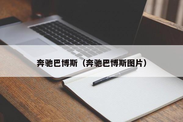 奔驰巴博斯（奔驰巴博斯图片）