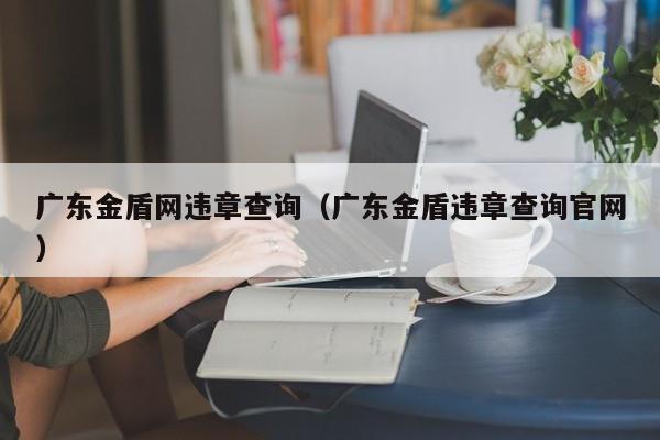 广东金盾网违章查询（广东金盾违章查询官网）