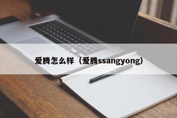 爱腾怎么样（爱腾ssangyong）