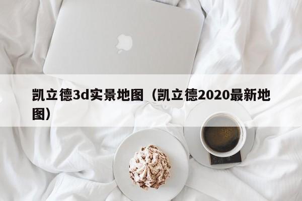 凯立德3d实景地图（凯立德2020最新地图）