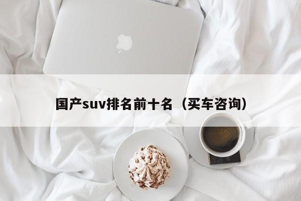 国产suv排名前十名（买车咨询）