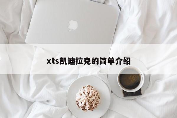 xts凯迪拉克的简单介绍