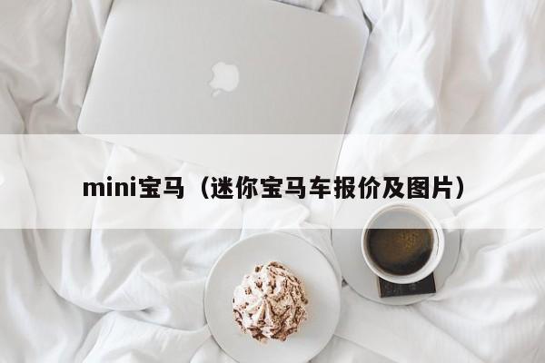 mini宝马（迷你宝马车报价及图片）