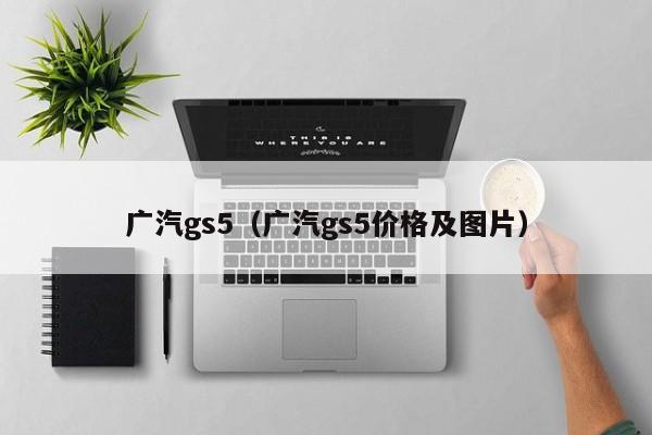 广汽gs5（广汽gs5价格及图片）