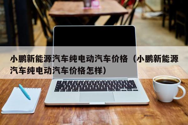 小鹏新能源汽车纯电动汽车价格（小鹏新能源汽车纯电动汽车价格怎样）