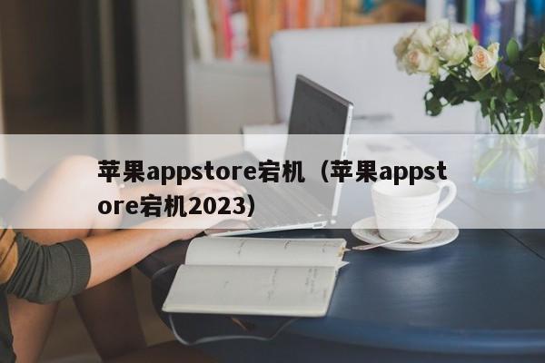 苹果appstore宕机（苹果appstore宕机2023）