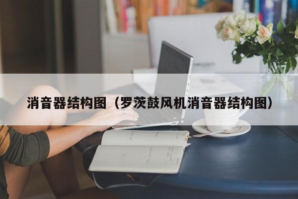 消音器结构图（罗茨鼓风机消音器结构图）