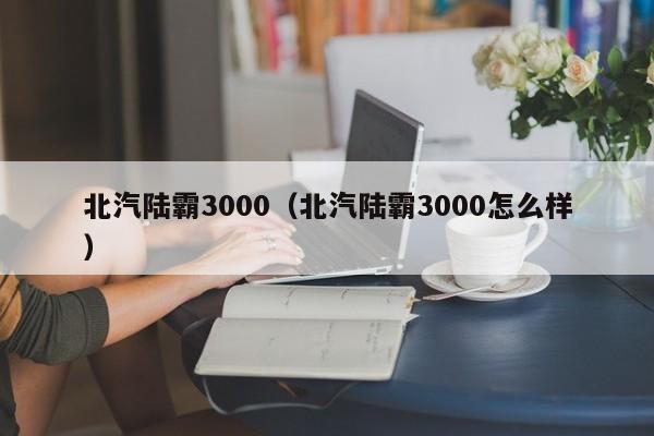 北汽陆霸3000（北汽陆霸3000怎么样）