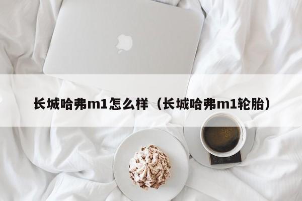 长城哈弗m1怎么样（长城哈弗m1轮胎）