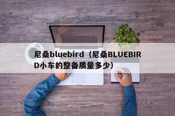 尼桑bluebird（尼桑BLUEBIRD小车的整备质量多少）