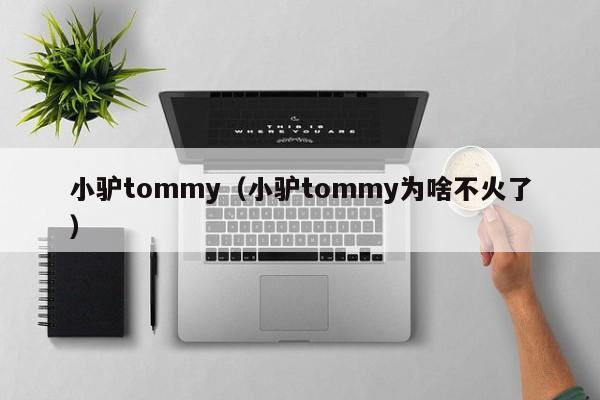 小驴tommy（小驴tommy为啥不火了）