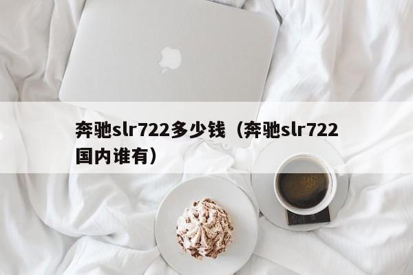 奔驰slr722多少钱（奔驰slr722国内谁有）