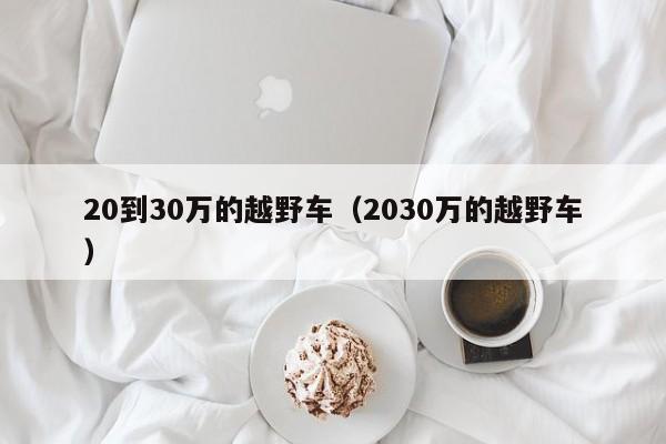 20到30万的越野车（2030万的越野车）