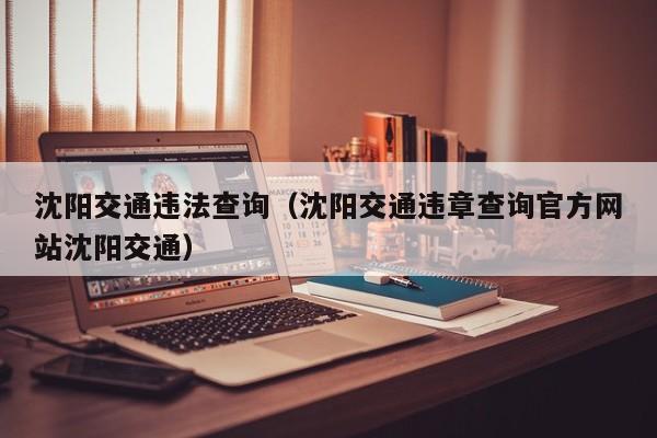 沈阳交通违法查询（沈阳交通违章查询官方网站沈阳交通）