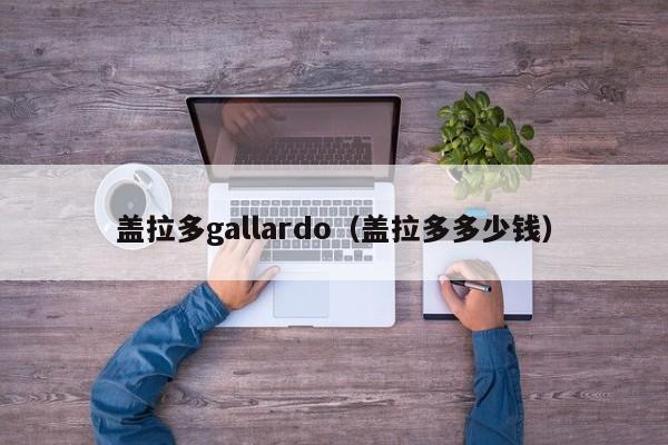 盖拉多gallardo（盖拉多多少钱）