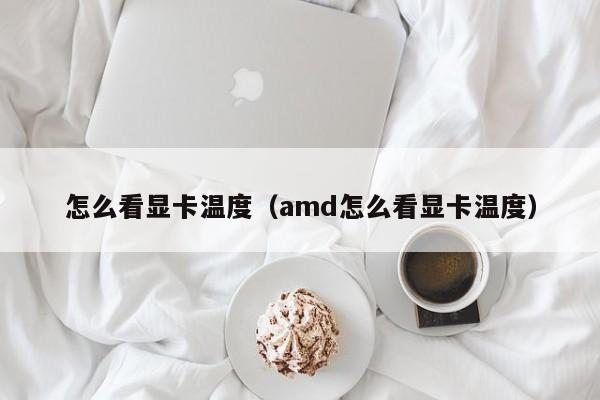 怎么看显卡温度（amd怎么看显卡温度）