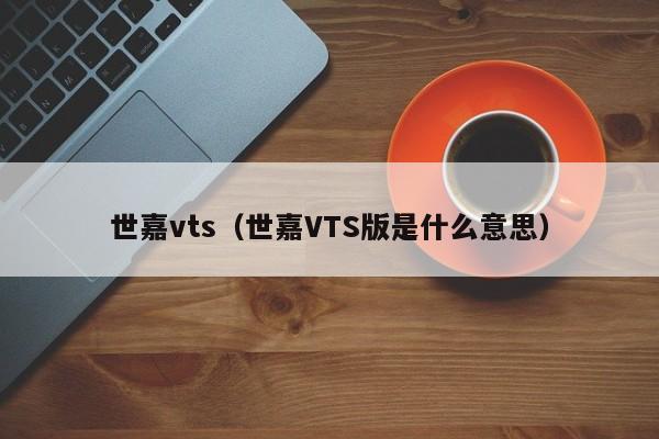 世嘉vts（世嘉VTS版是什么意思）