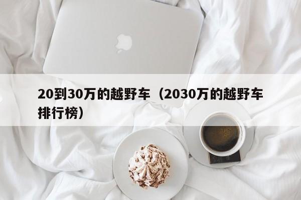 20到30万的越野车（2030万的越野车排行榜）