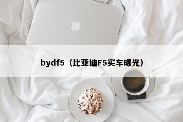 bydf5（比亚迪F5实车曝光）