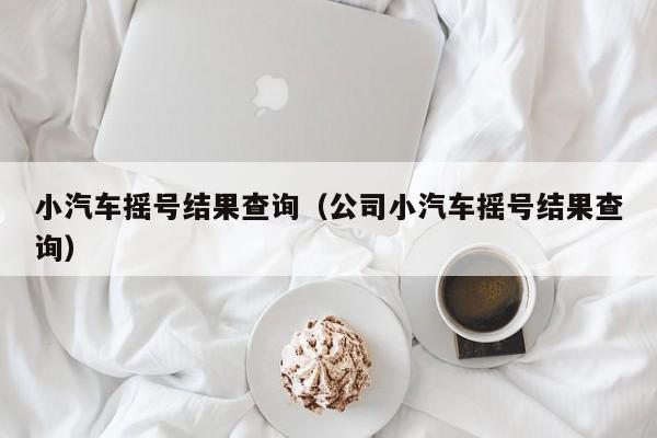 小汽车摇号结果查询（公司小汽车摇号结果查询）