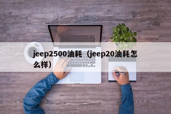 jeep2500油耗（jeep20油耗怎么样）