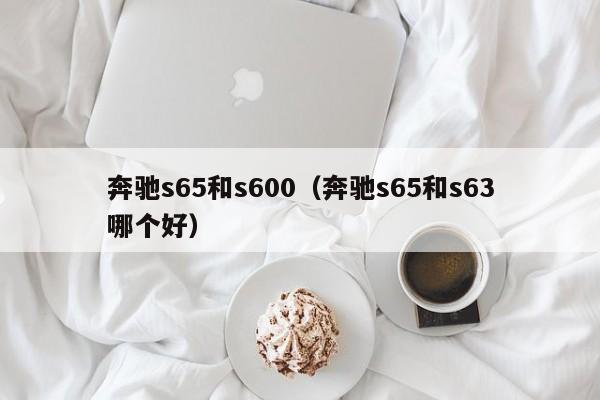 奔驰s65和s600（奔驰s65和s63哪个好）