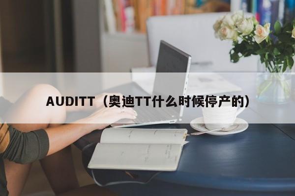 AUDITT（奥迪TT什么时候停产的）