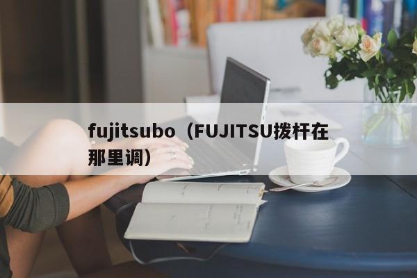 fujitsubo（FUJITSU拨杆在那里调）