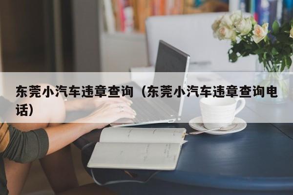 东莞小汽车违章查询（东莞小汽车违章查询电话）