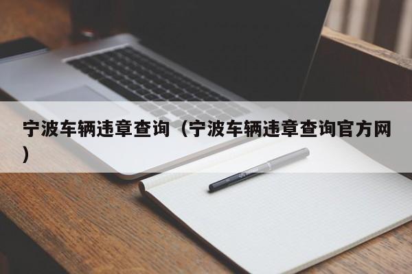 宁波车辆违章查询（宁波车辆违章查询官方网）