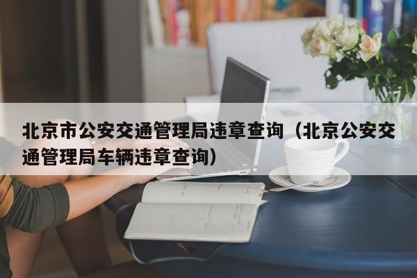 北京市公安交通管理局违章查询（北京公安交通管理局车辆违章查询）