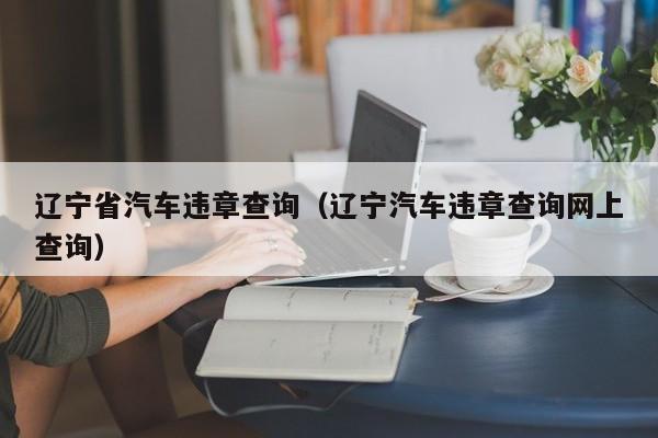 辽宁省汽车违章查询（辽宁汽车违章查询网上查询）