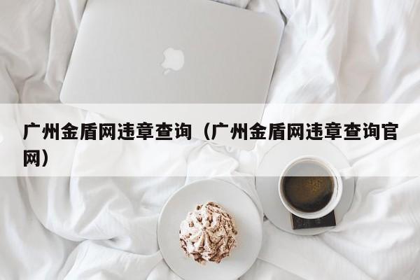 广州金盾网违章查询（广州金盾网违章查询官网）