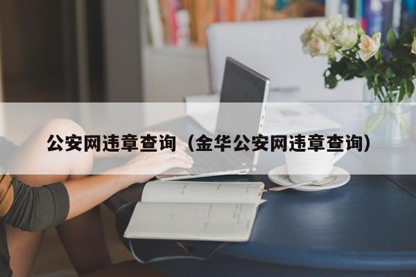 公安网违章查询（金华公安网违章查询）