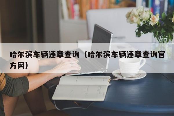 哈尔滨车辆违章查询（哈尔滨车辆违章查询官方网）