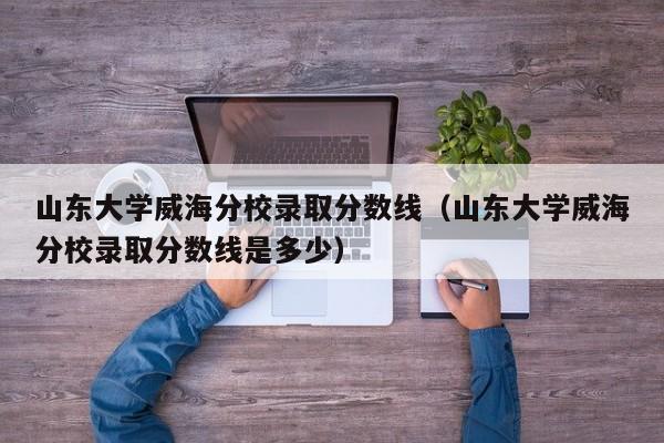 山东大学威海分校录取分数线（山东大学威海分校录取分数线是多少）