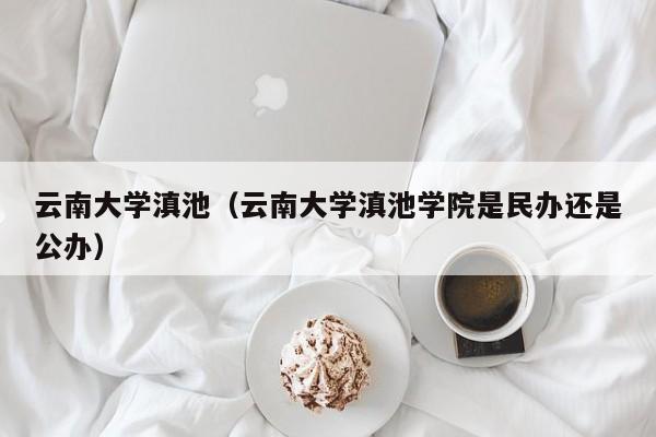 云南大学滇池（云南大学滇池学院是民办还是公办）