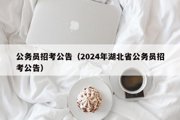 公务员招考公告（2024年湖北省公务员招考公告）