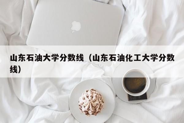 山东石油大学分数线（山东石油化工大学分数线）