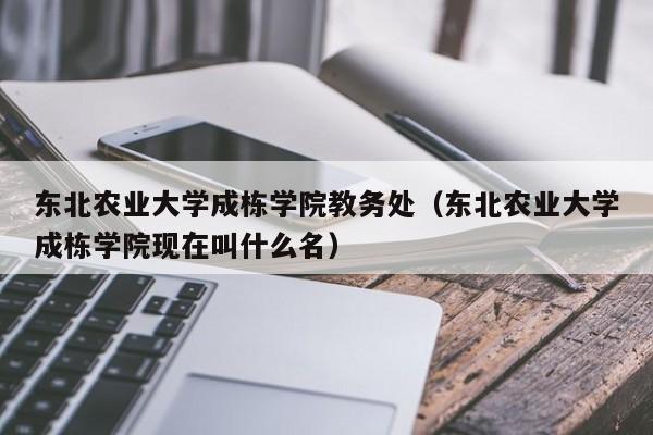 东北农业大学成栋学院教务处（东北农业大学成栋学院现在叫什么名）