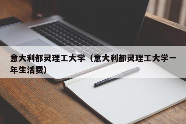 意大利都灵理工大学（意大利都灵理工大学一年生活费）