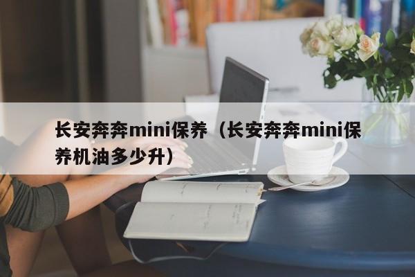 长安奔奔mini保养（长安奔奔mini保养机油多少升）