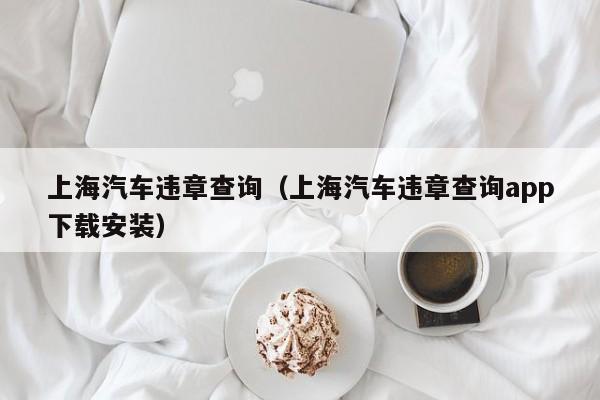 上海汽车违章查询（上海汽车违章查询app下载安装）