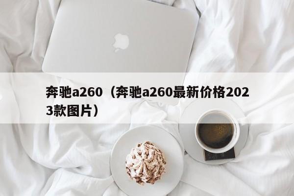 奔驰a260（奔驰a260最新价格2023款图片）